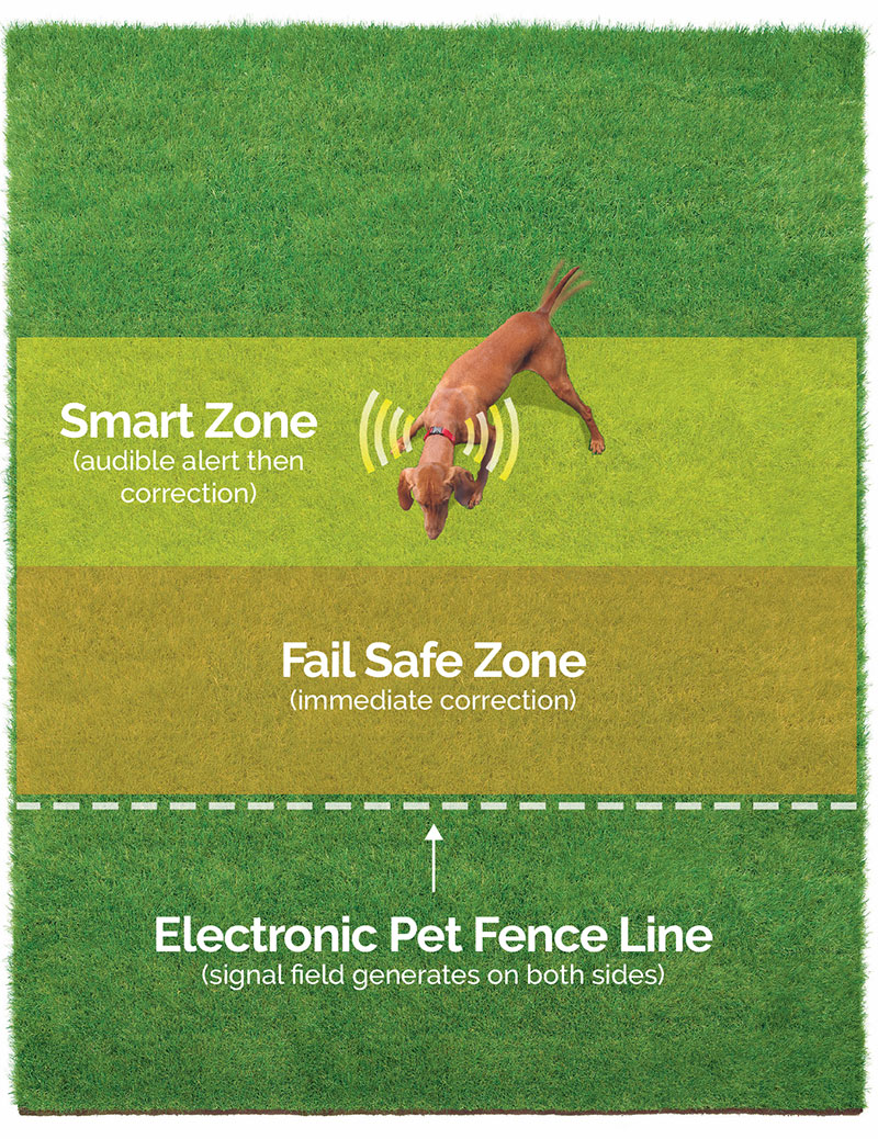 installing invisible dog fence